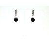 Exclusive Garnet earrings