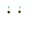 Exclusive Tiger&#039;s Eye earrings