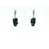 Exclusive earrings &quot;Green meadow&quot;