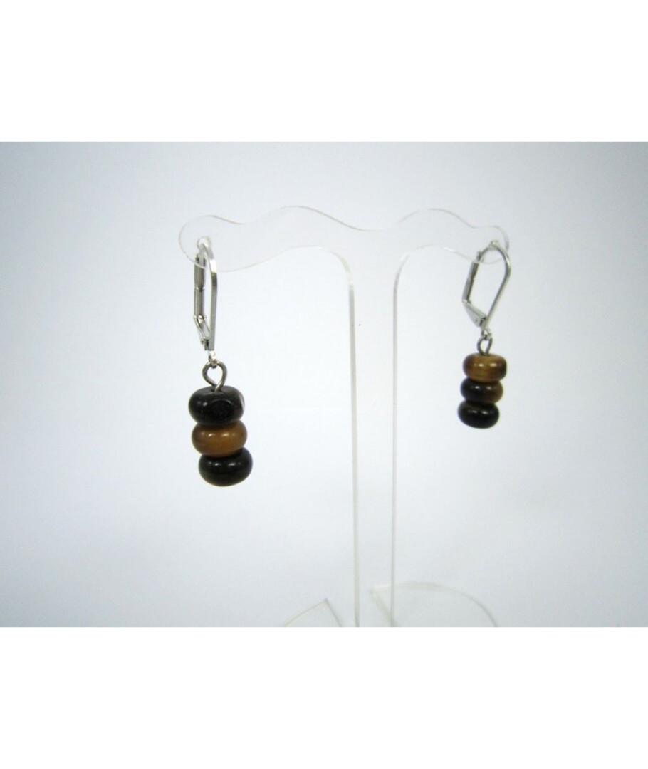 Earrings Tiger's eye rondel