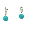 Exclusive Turquoise earrings