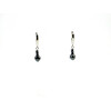 Exclusive earrings &quot;Charuna&quot; Hematite