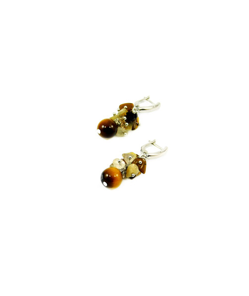 Tiger's eye earrings