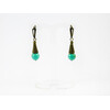 Exclusive Turquoise earrings