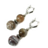 Earrings &quot;Magic of agate&quot; Botswana agate