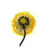 Brooch &quot;Dandelion&quot; Citrine, Czech glass