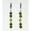 Earrings &quot;Magic of the forest&quot; Jasper