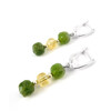 Earrings &quot;Magic of the forest&quot; Jasper