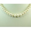 Exclusive pearl necklace