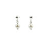 Earrings Pearls cloves