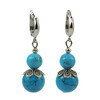 Earrings &quot;Linnaeus&quot; Turquoise