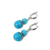 Earrings &quot;Linnaeus&quot; Turquoise